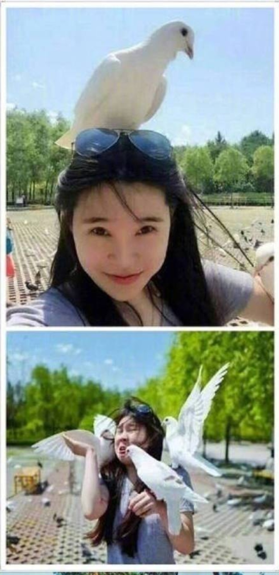 闪光灯拍人物技巧视频,闪光灯拍人教学