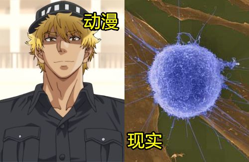 动漫很美好现实很残酷,动漫很幼稚但很美好