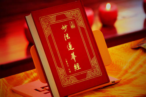 被误读的彼岸花，就是“阑边不见蘘蘘叶，砌下惟翻艳艳丛”之石蒜