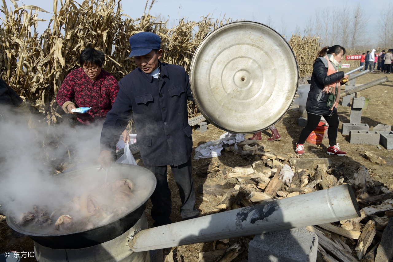 农业种植致富技巧,农民致富有妙招