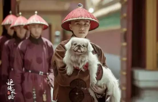 延禧攻略：用心机婊令妃，来抄袭《*瓶金**梅》