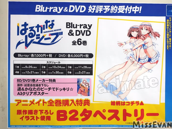 Animate秋叶原「遥的接球ONLYSHOP」活动开办