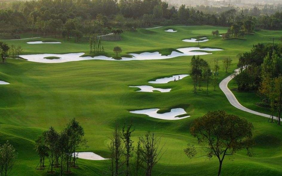 成都体育场馆免费,成都45家体育场馆免费开放