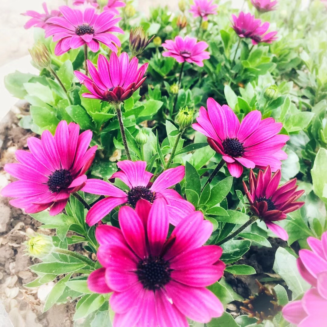 别人家的孩子不是我们家的,别人家的灯光不一定照亮你家