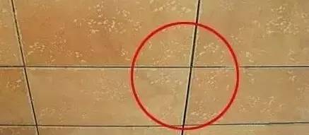 *京大南**妈把香醋放到厕所，第二天醒来惊呆了！