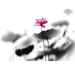 「书香润检察」第十期：诗意人生——之一起品读于丹心中的最美古诗词