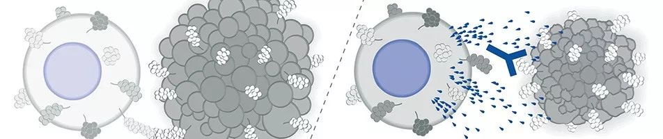 科学家发现癌症新突破,医学新发现癌症最新突破