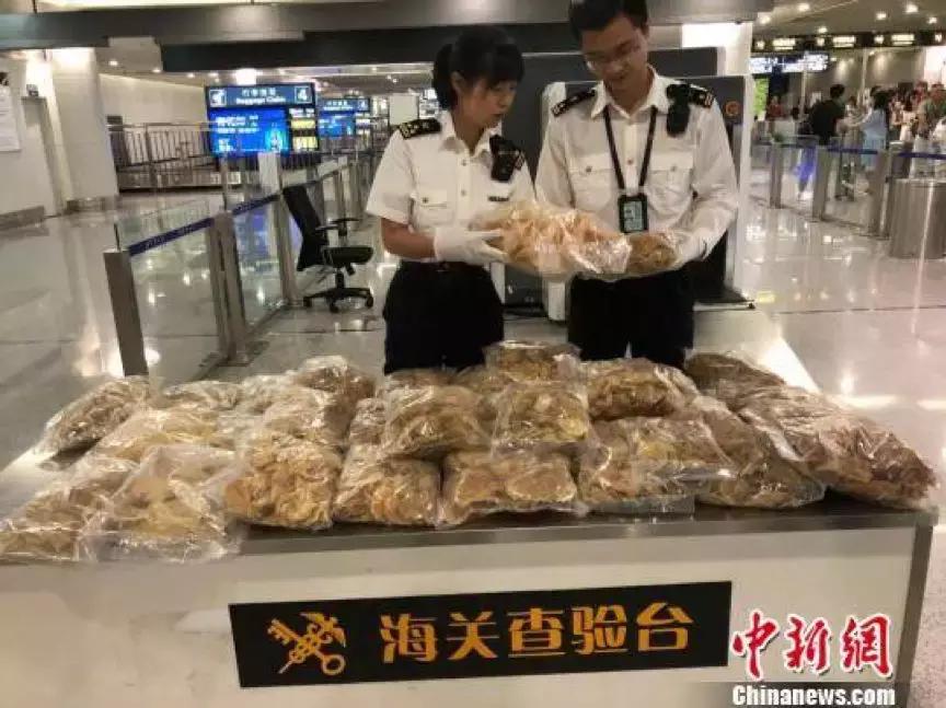 个人出国旅游可以带燕窝入境吗,出境游能带燕窝回来吗