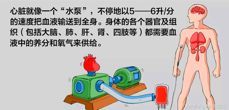 老年人高血压现在血压低怎么办,老年人血压升高怎么治