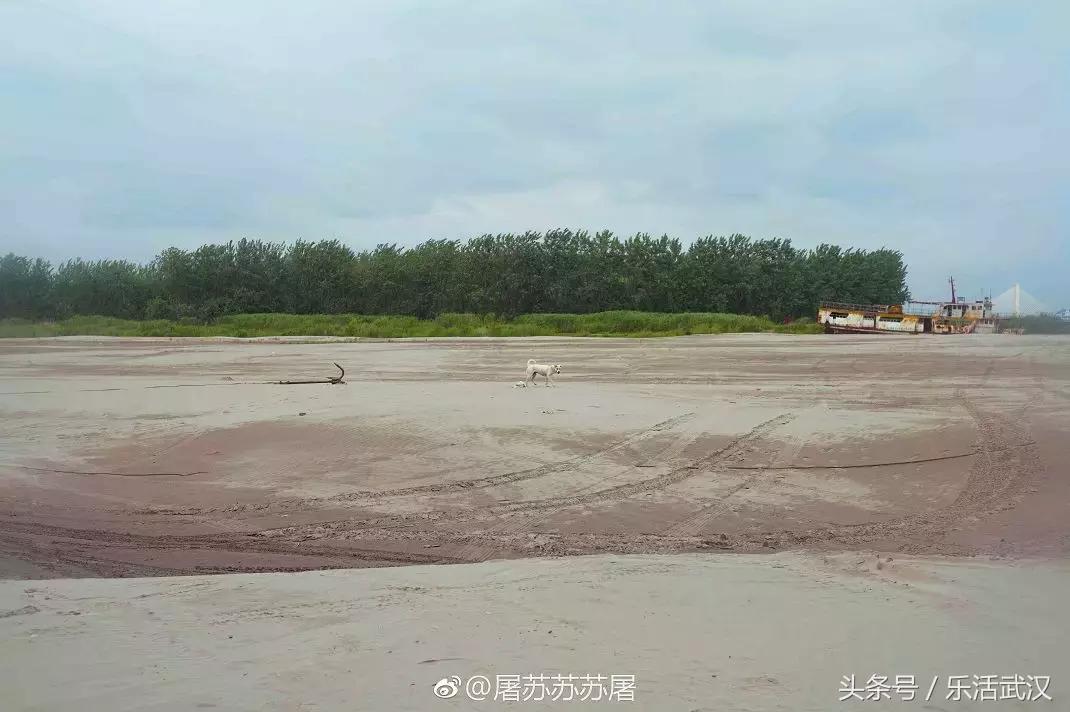 武汉60个免费景点大集合,武汉免费景点推荐3天2晚步行