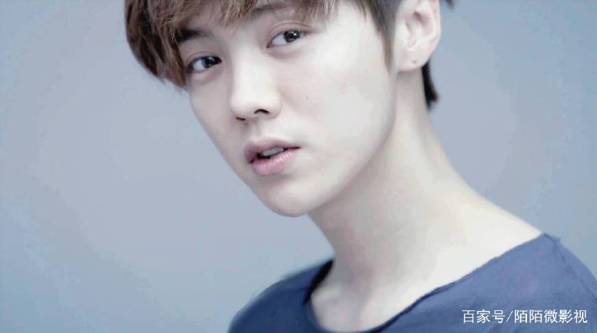 鹿晗有多少才华,鹿晗颜值才华