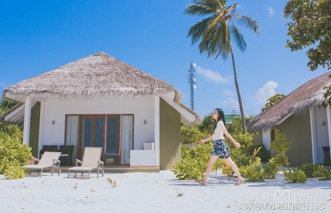 马尔代夫游记可可尼岛,马尔代夫可可亚岛旅游攻略