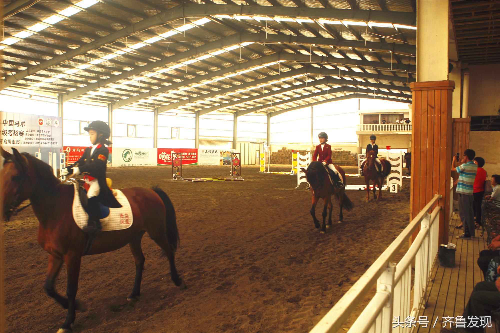 青岛马术,青岛竞技体育史话之2