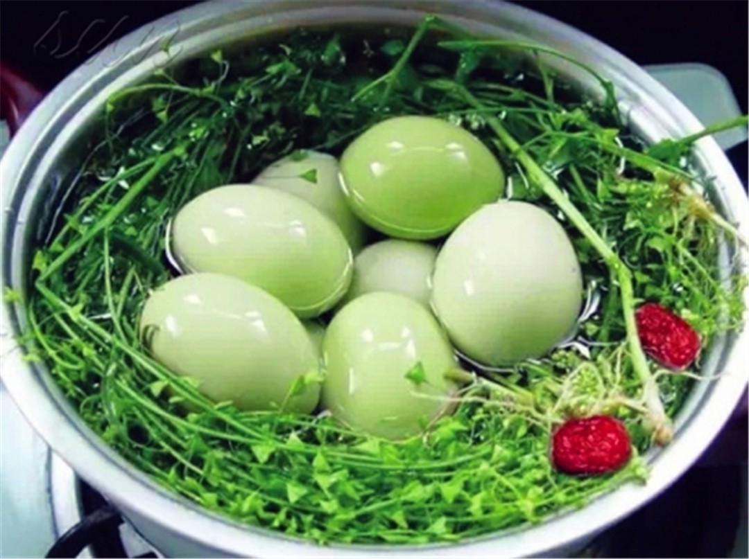 农村一种野草，煮鸡蛋吃了治头晕，还是驱蚊虫好帮手