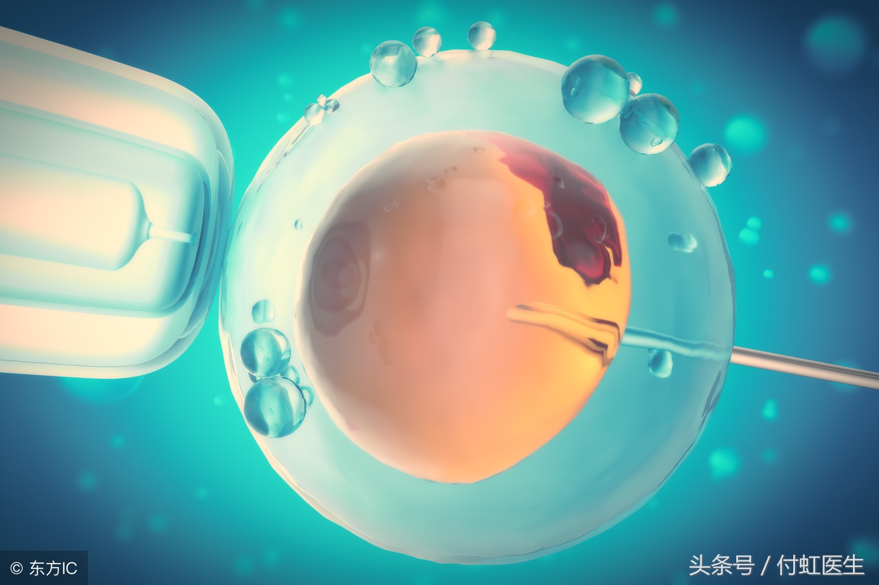 要想一亲卵子小姐的芳泽，精子先生需要突破三个关口！
