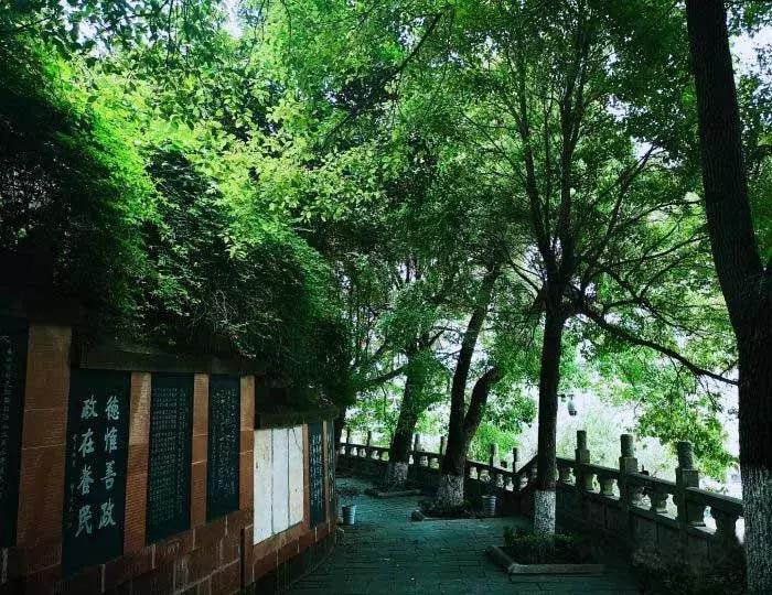 坐地铁游武汉,武汉地铁五号线游玩攻略路线