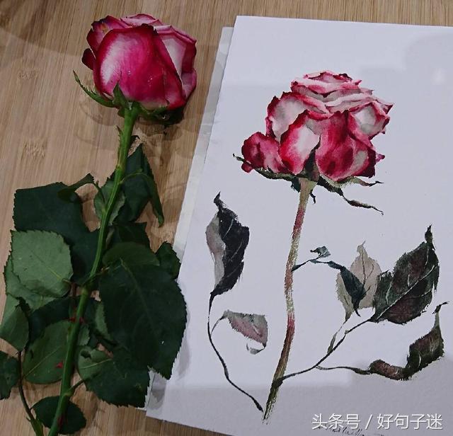 充满诗意的唯美句子图片,优美有意境的句子