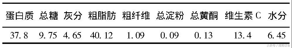 辣木籽茶有什么功效,辣木籽的真正功效