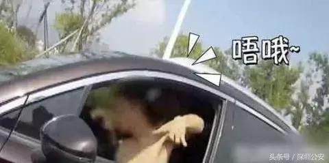 致幻！失控！这可能是最危险的开车方式