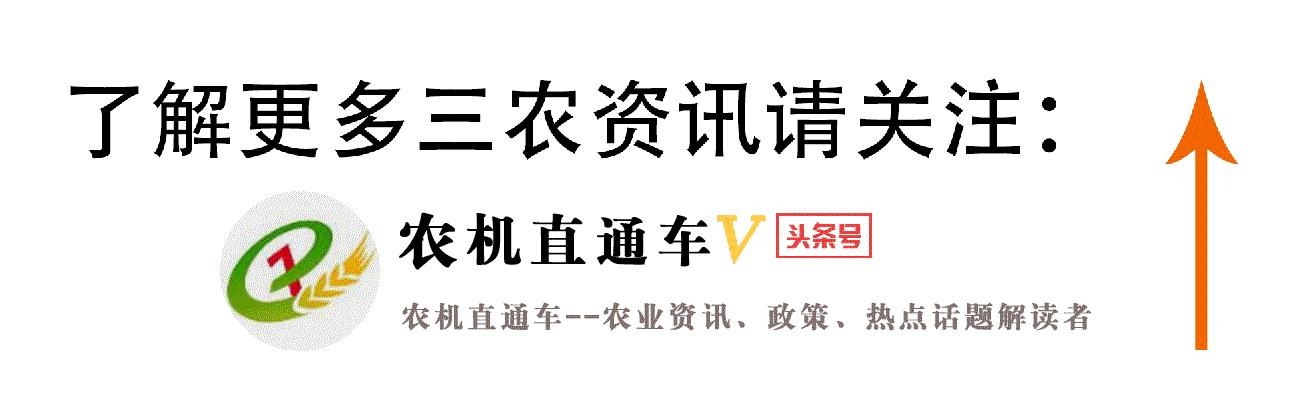 五谷不分是哪五种粮食,五谷不分的五谷是指哪5种谷物