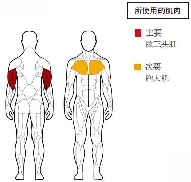 胸肌训练顺带练一下三头肌,徒手练胸肌跟肱二头肌