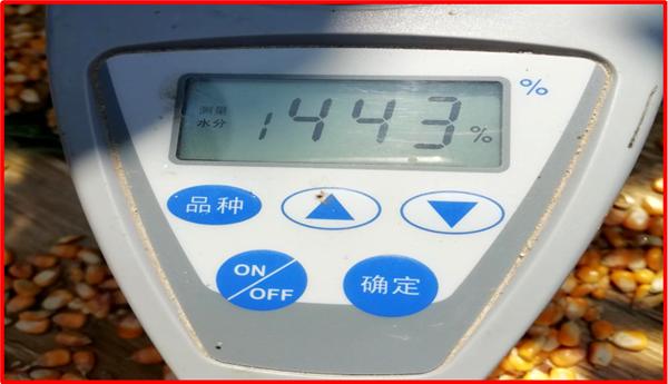 含水量40的玉米,农民家用玉米风干机器