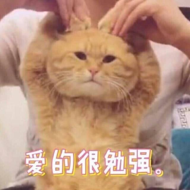 情人节该买什么,情人节要买什么才浪漫