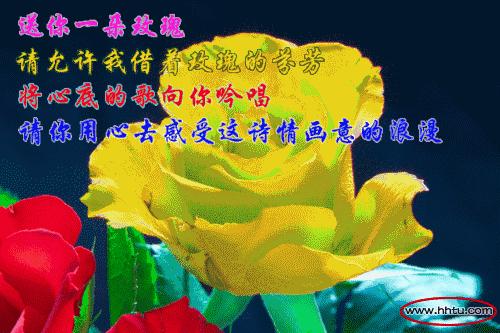 明日七夕，最美幸福花送给群里所有的朋友！（谁打开，谁幸福）