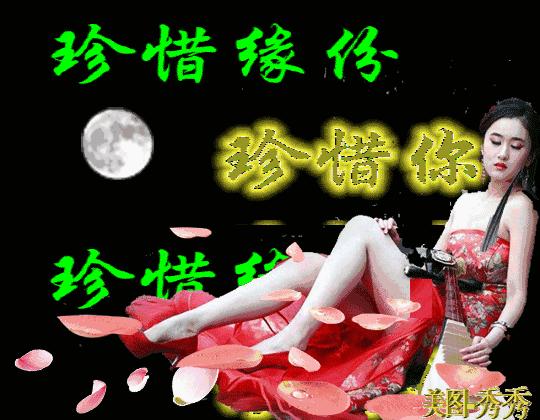 枫林诗苑,枫林诗苑诗词大全