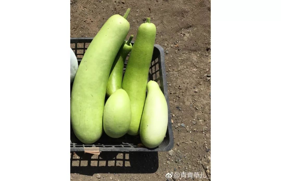 饮食健康存在的问题,饮食健康有待解决的问题