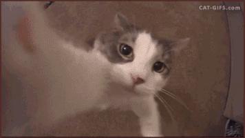 针灸疗法的副作用,针灸治疗的作用小论文