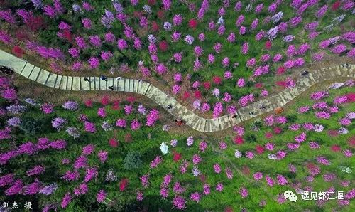 西部第一漂流,西部第一漂