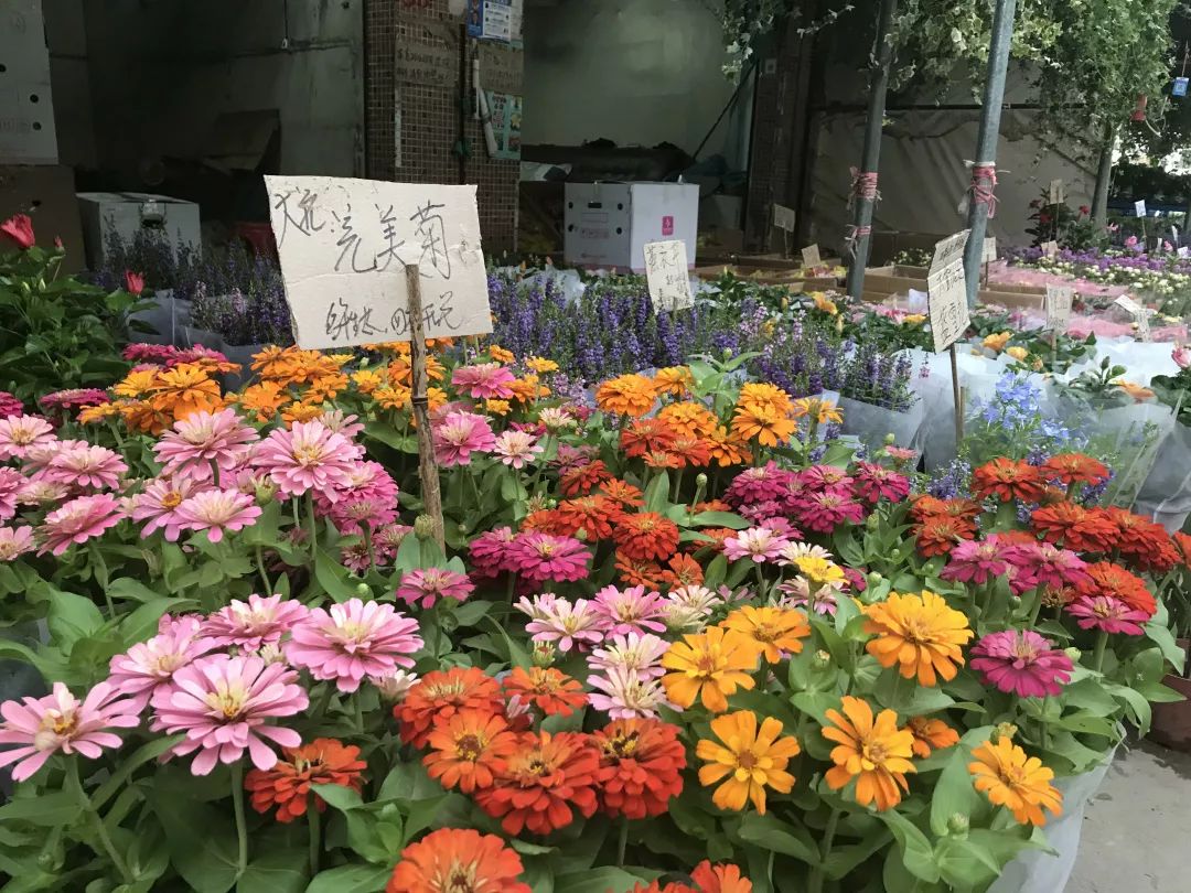 广州便宜又好看的批发市场,广州年前批发市场买衣服地方推荐