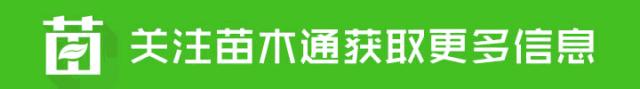 病虫害防治药剂,栾树叶子长出来之后怎么治理蚜虫