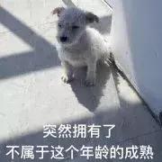 送给女朋友的礼物挂闲鱼被发现,七夕礼物被女朋友退货