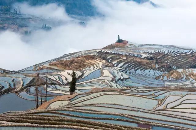 全国各地食用土特产有哪些,全国各地家乡的特产及用途