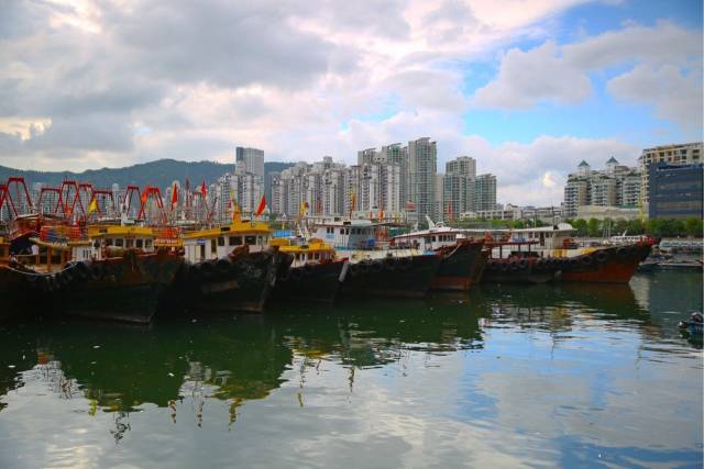 深圳失去了就会爱上的城市,深圳现状是什么