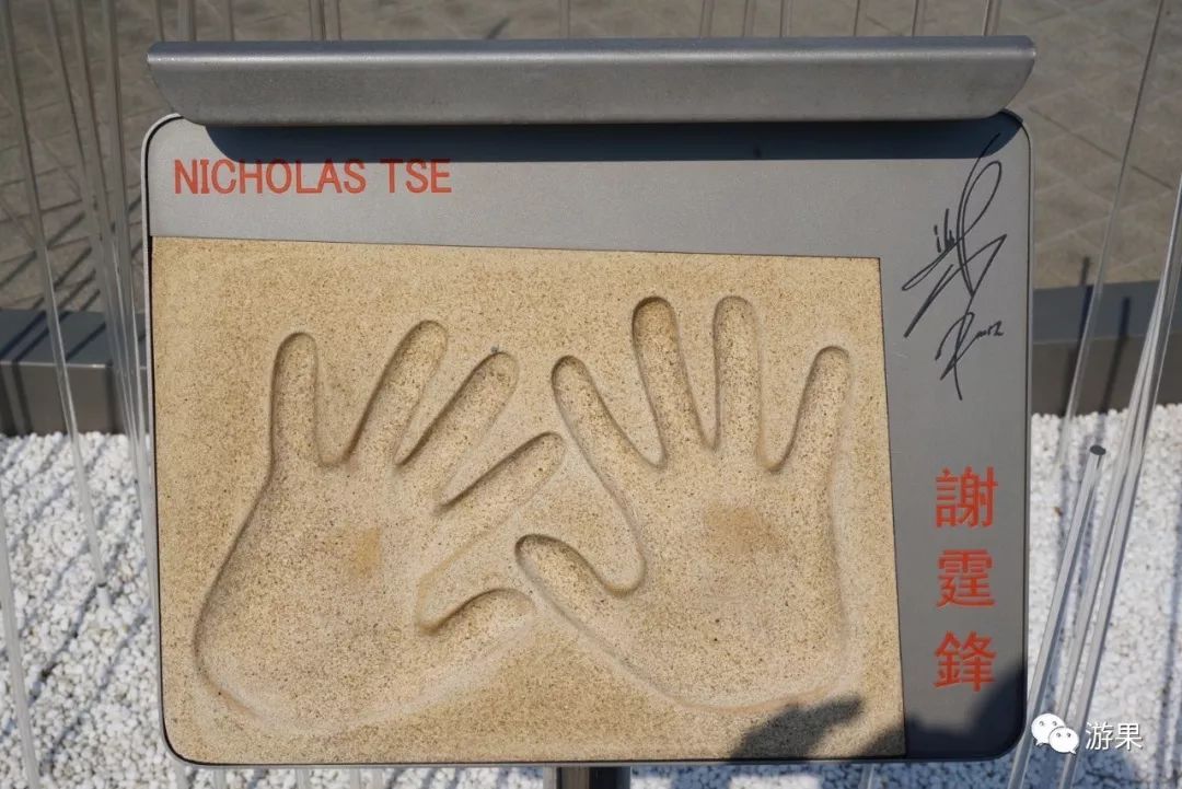 香港一日游全部打卡,香港一日游旺角出发