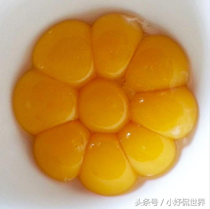 强迫症不能忍受的照片,密集强迫症照片