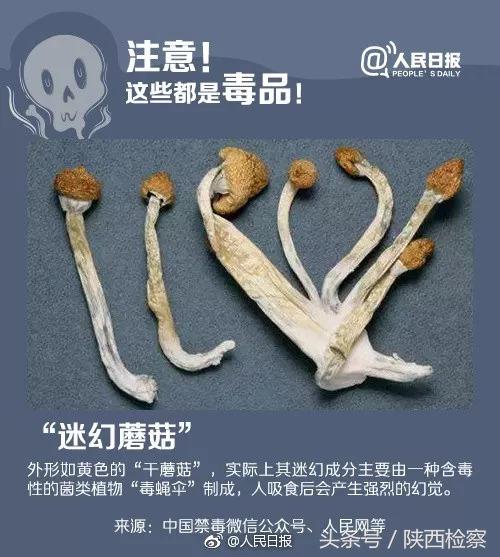 鍚稿叆姣掑搧钃濈簿鐏电殑鍗卞,钃濈簿鐏靛睘涓嶅睘浜庢柊鍨嬫瘨