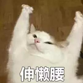 懒癌晚期洗脸的正确方法,懒癌怎么护肤最有效