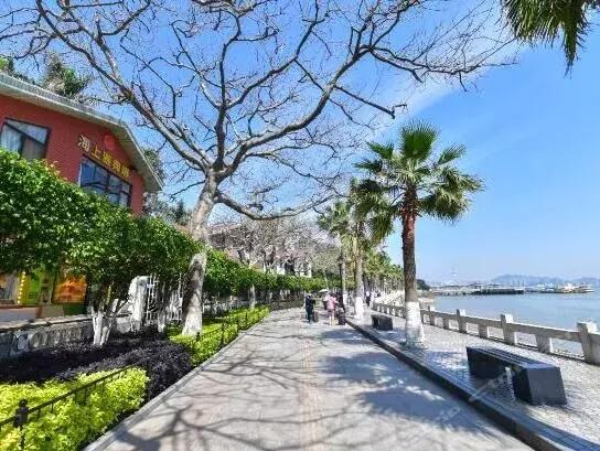 鼓浪屿怎么游玩最合适,鼓浪屿游玩最新攻略