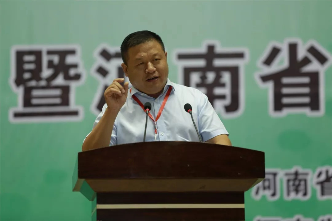 河南省十四届运动会跆拳道学生组,河南省大学生运动会跆拳道比赛
