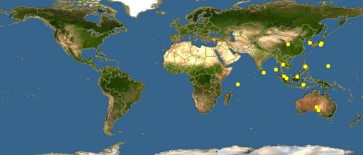 蛏子贝壳类海鲜,贝类海鲜有哪些毛蚶