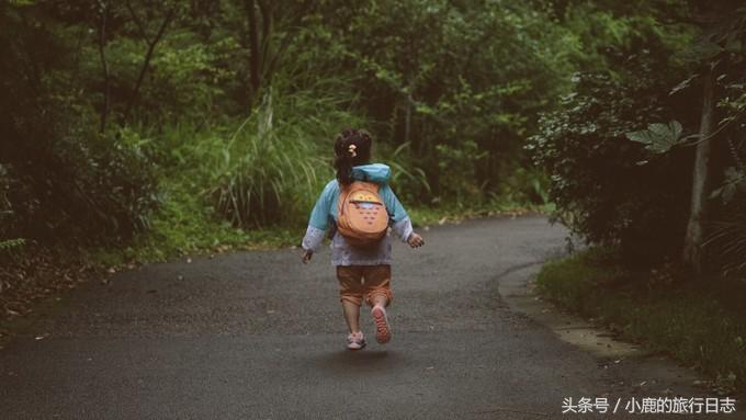 熊猫在成都的真实生活,熊猫总是睡觉