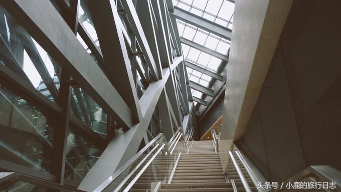 熊猫在成都的真实生活,熊猫总是睡觉