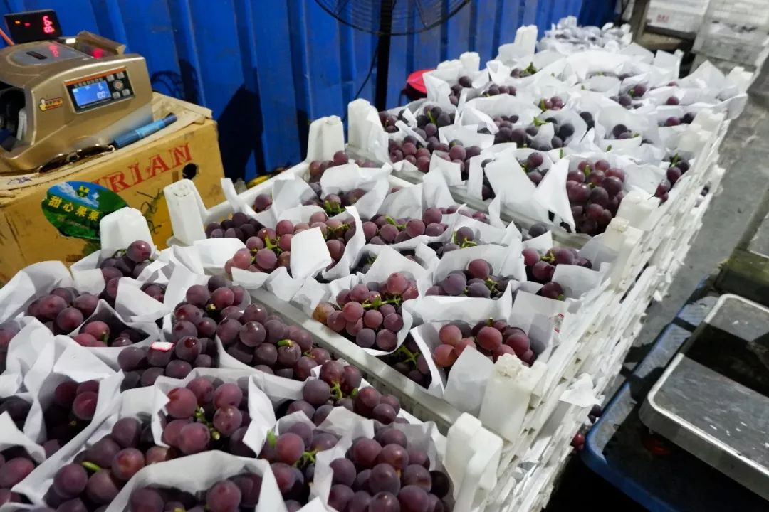 清晨的南京众彩水果批发市场,众彩市场清晨3点有人吗