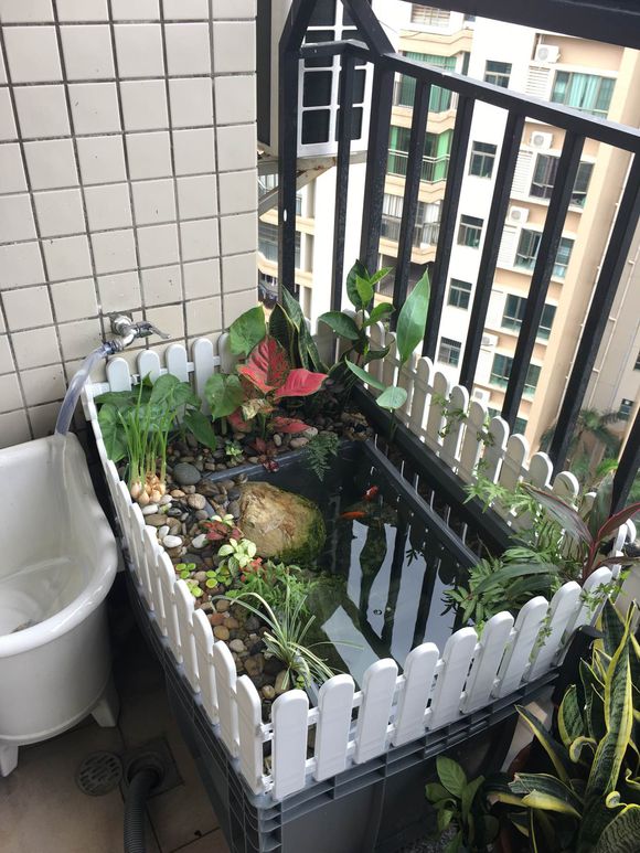 「龟龟环境篇」沼泽过滤（bogfilter）：一种原生态水处理技术