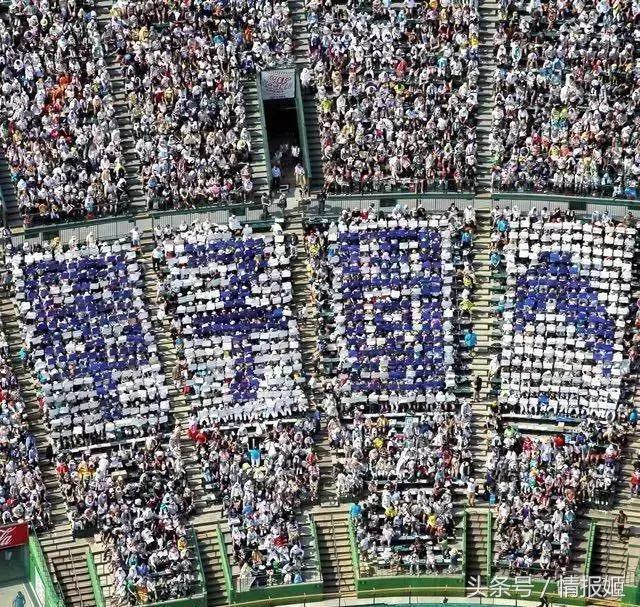 灌篮高手80后的经典青春回忆,灌篮高手第二年视频