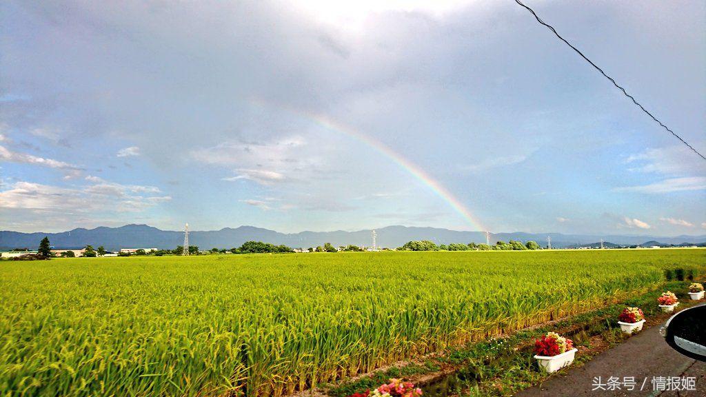 灌篮高手80后的经典青春回忆,灌篮高手第二年视频
